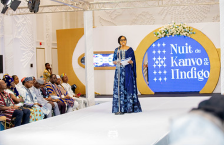 Kanvo et indigo : le Bénin mise sur le luxe et l&rsquo;innovation pour booster son économie