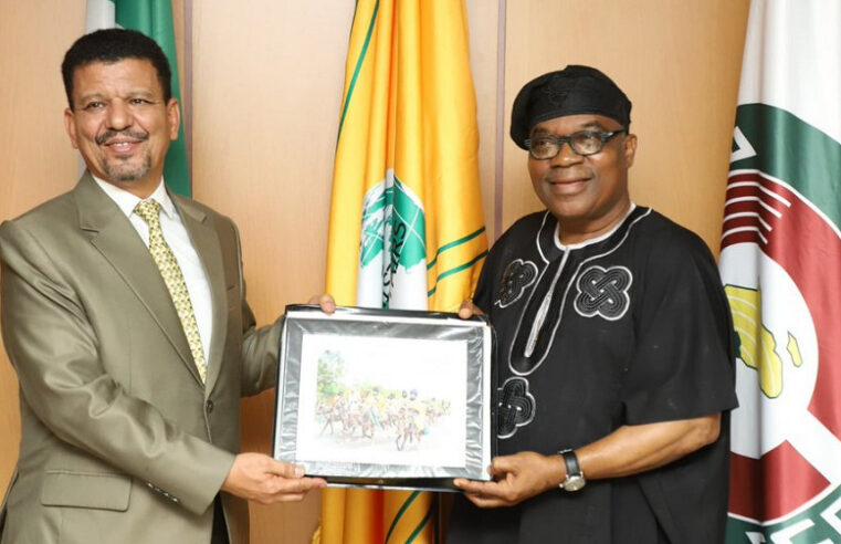 Nigeria et RASD : une alliance diplomatique qui défie le projet marocain
