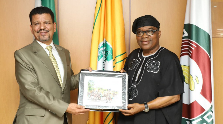 Nigeria et RASD : une alliance diplomatique qui défie le projet marocain