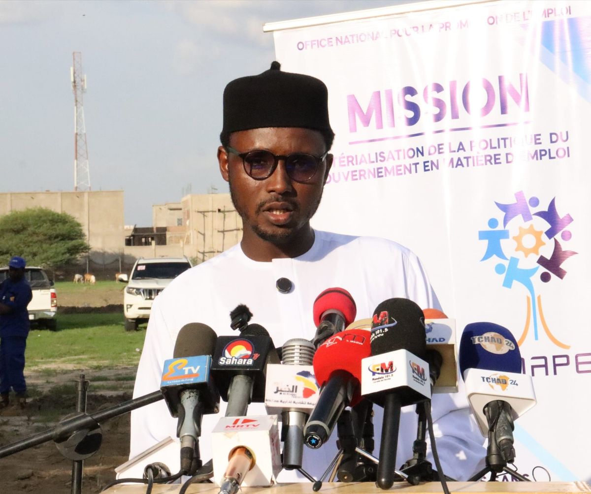 Jeunes formés au maraîchage à N'Djamena