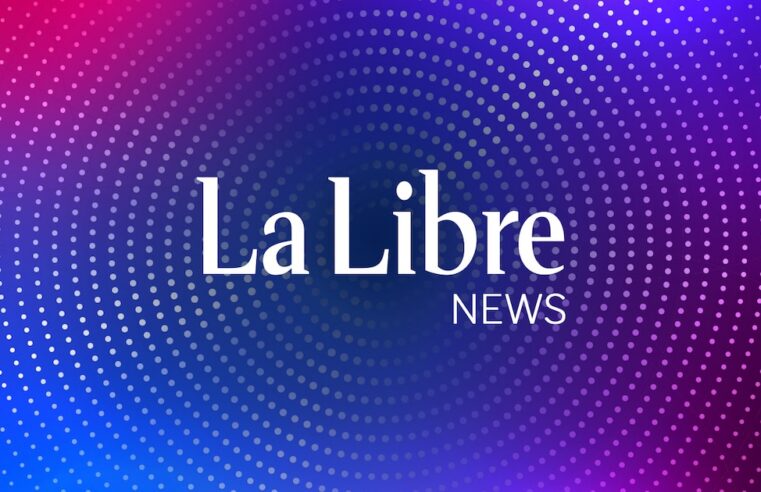 Attaque de Boko Haram au Niger : une dizaine de militaires tués près de N&rsquo;Guigmi