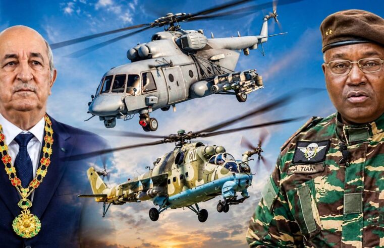 Algerie et Niger : une alliance militaire face à la menace terroriste au Sahel