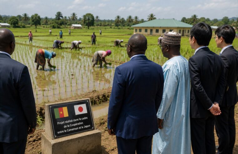 Coopération japonaise au Cameroun : 646 millions de dollars injectés depuis 2006