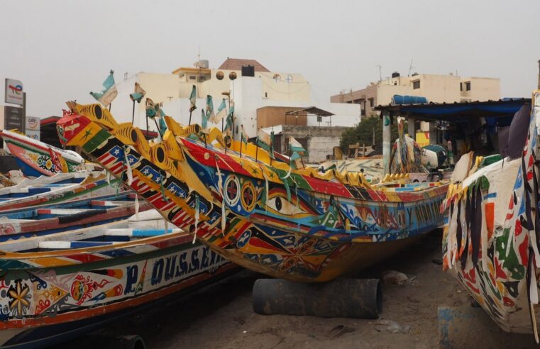 Sénégal : forte hausse des importations en juin malgré un recul semestriel marqué