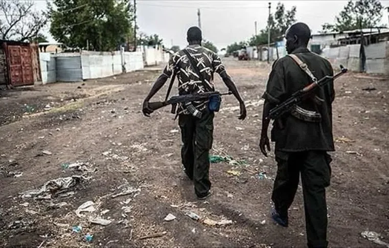 Attaque meurtrière de Boko Haram dans l&rsquo;extrême-nord du Cameroun : huit victimes confirmées