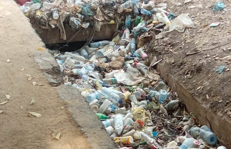 Recyclage des déchets plastiques au Tchad : défis et perspectives pour une économie verte
